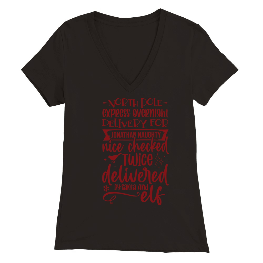North pole express overnight delivery Premium Womens V-Neck T-shirt