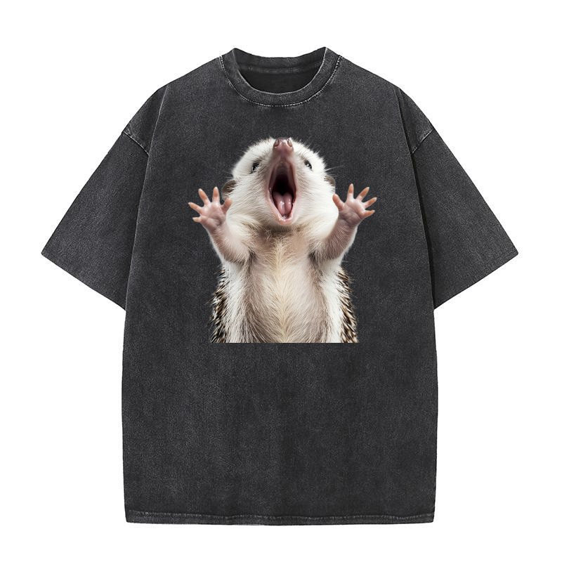 Hedgehog (3) Washed T-Shirt