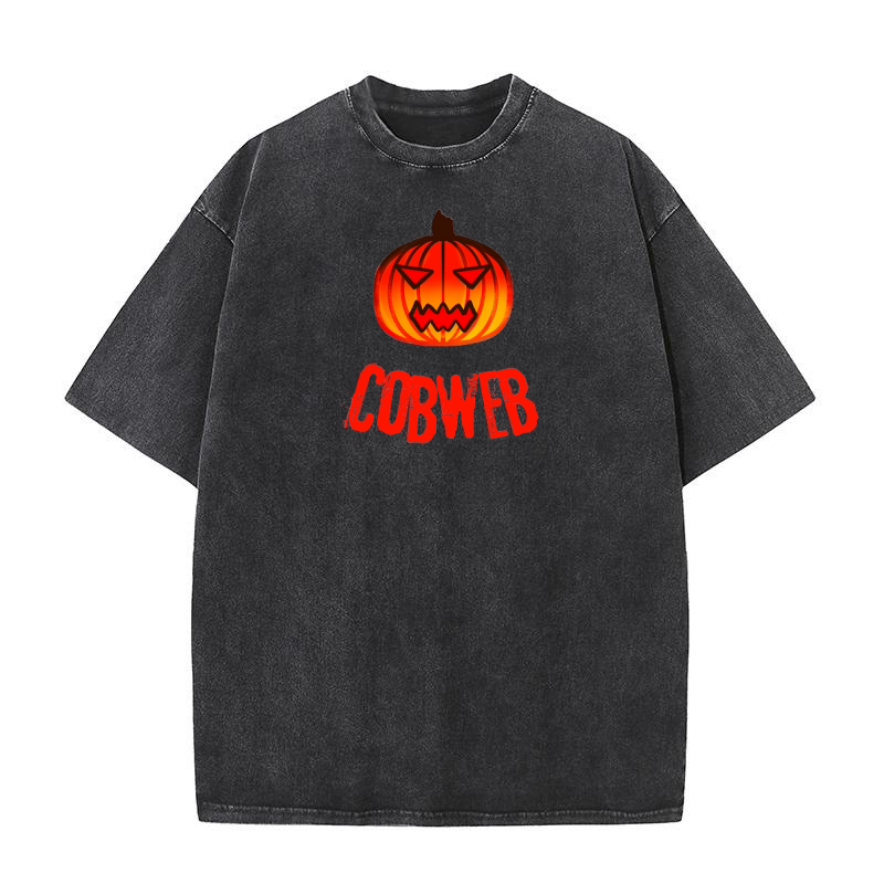 Pumpkin Cobweb Washed T-Shirt