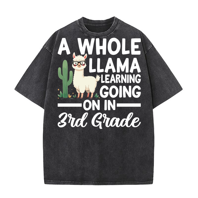A whole llama learning going on in brd grade Washed T-Shirt
