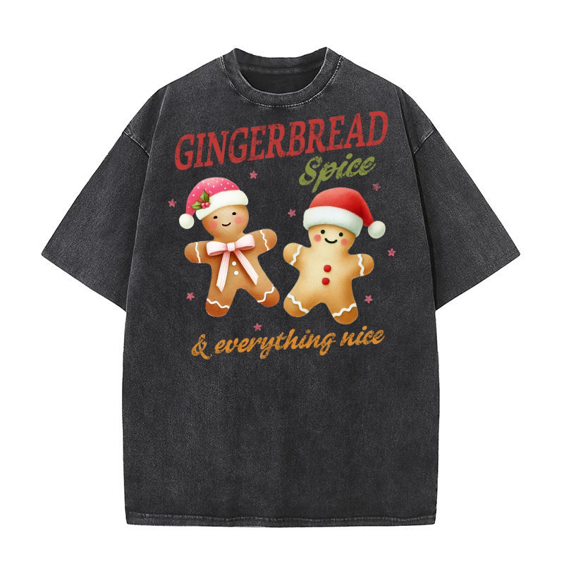 Gingerbread Spice & everything nice Washed T-Shirt