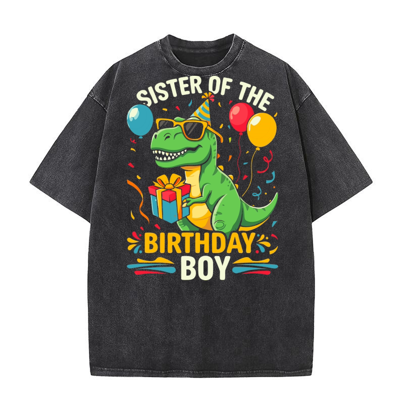 Sister Of The Birthday Boy Dinosaur 06 Washed T-Shirt