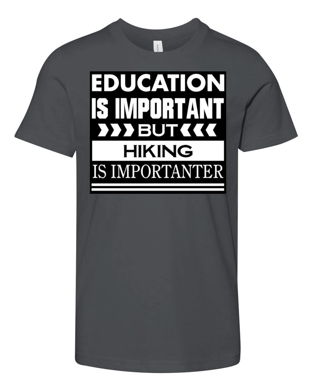 Education is important but HIKING is Importanter Youth Unisex Jersey Tee