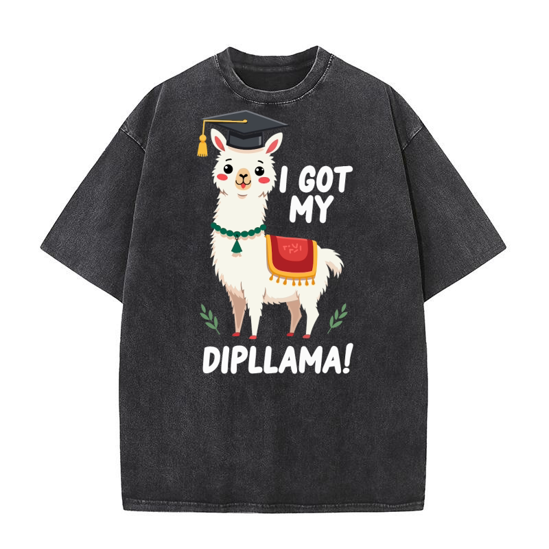 I got my dipllama! Washed T-Shirt