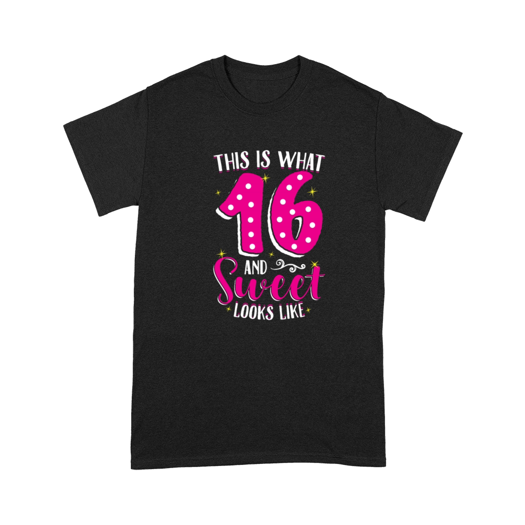 Sweet Sixteen 16th Birthday 2003 16th Birthday Premium T-shirt