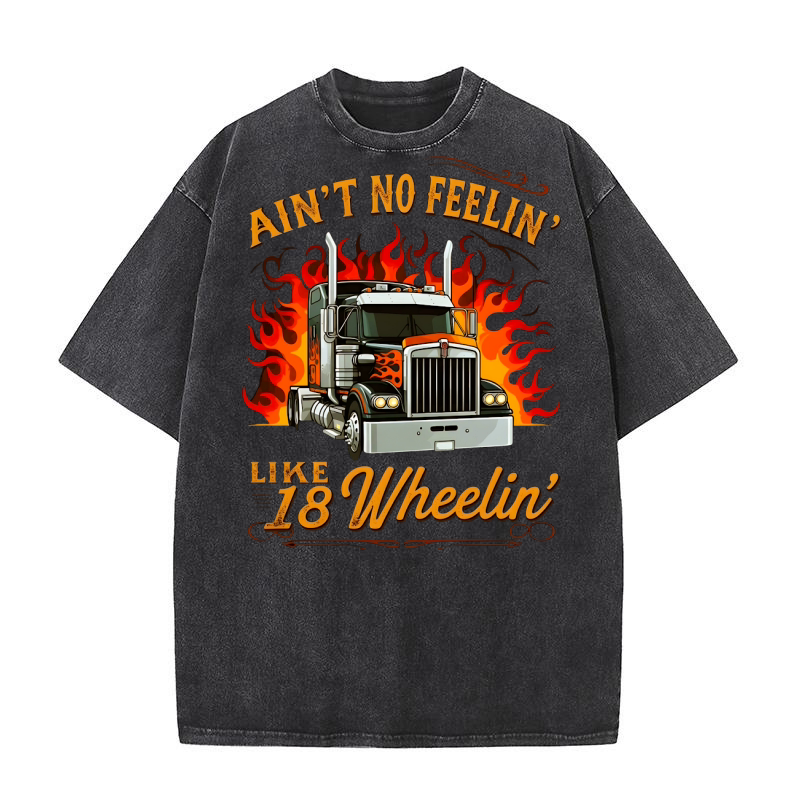 Aint No feelin Washed T-Shirt