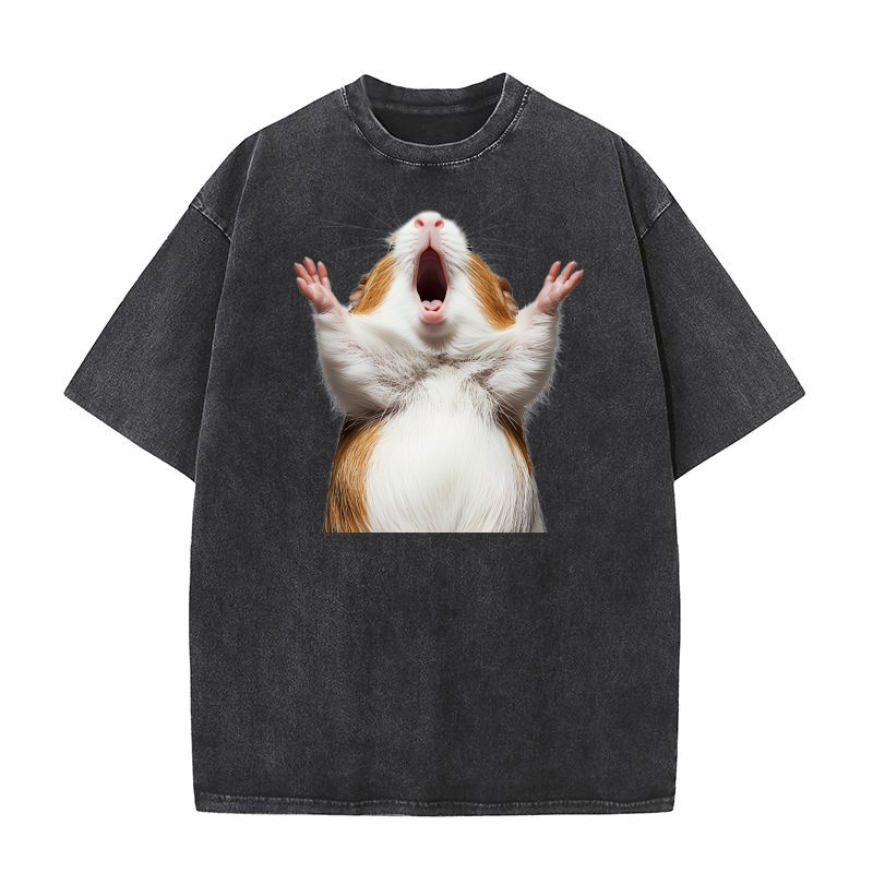 Guinea Pig (1) Washed T-Shirt