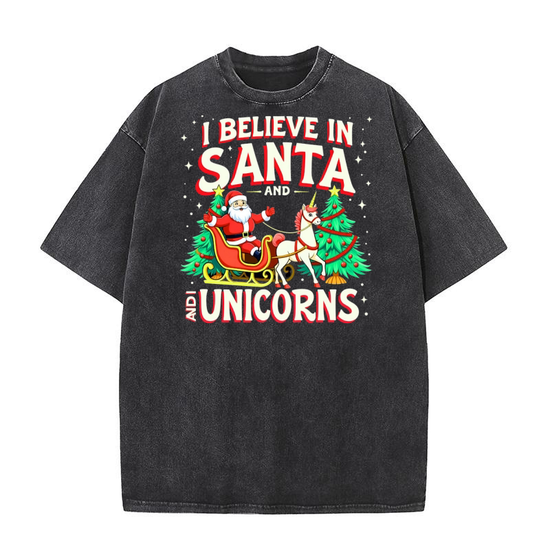 I Believe in Santa and I Unicorns Washed T-Shirt