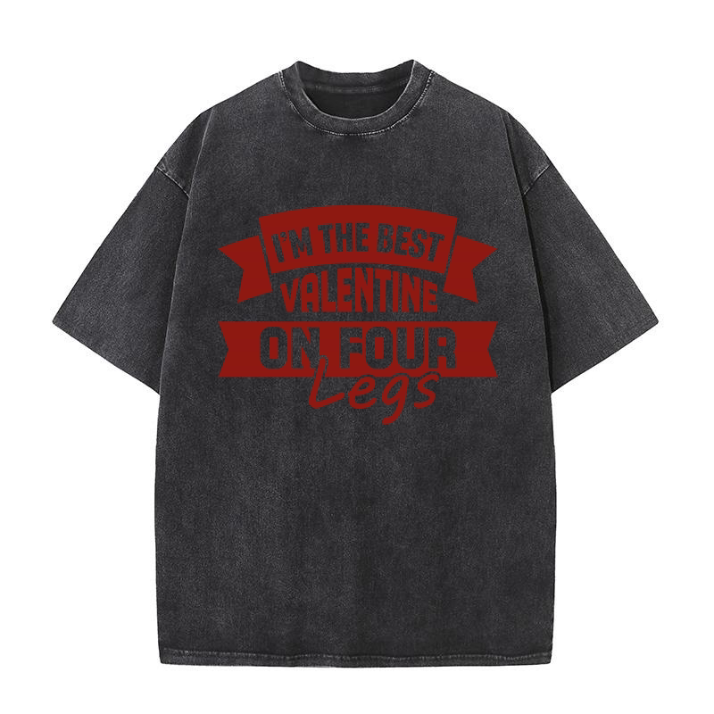 Im the best valentine on four legs Washed T-Shirt
