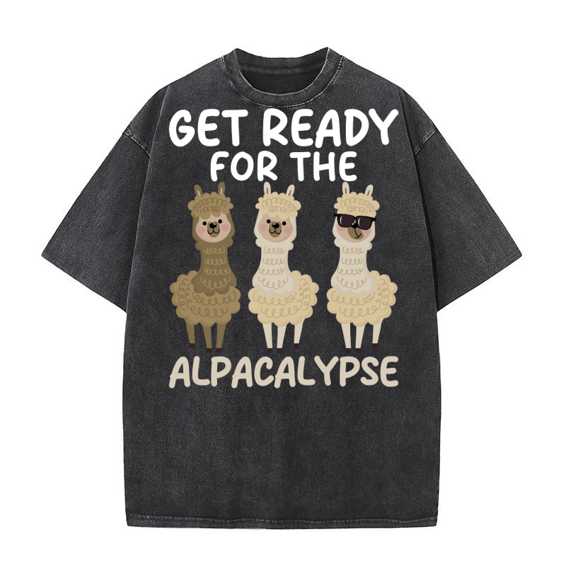 LLama 4 17 Washed T-Shirt