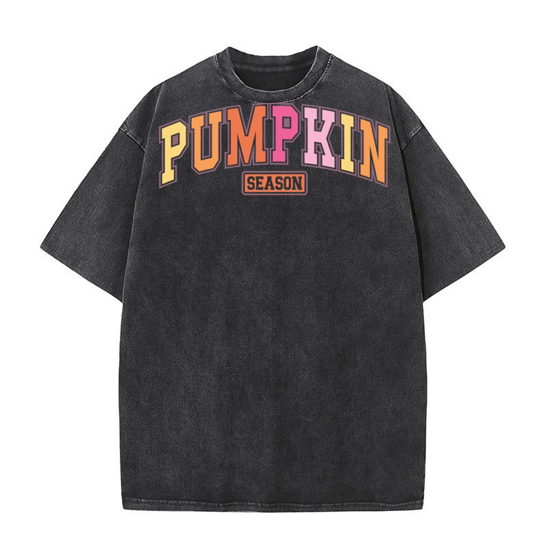 PampkinSeason Washed T-Shirt