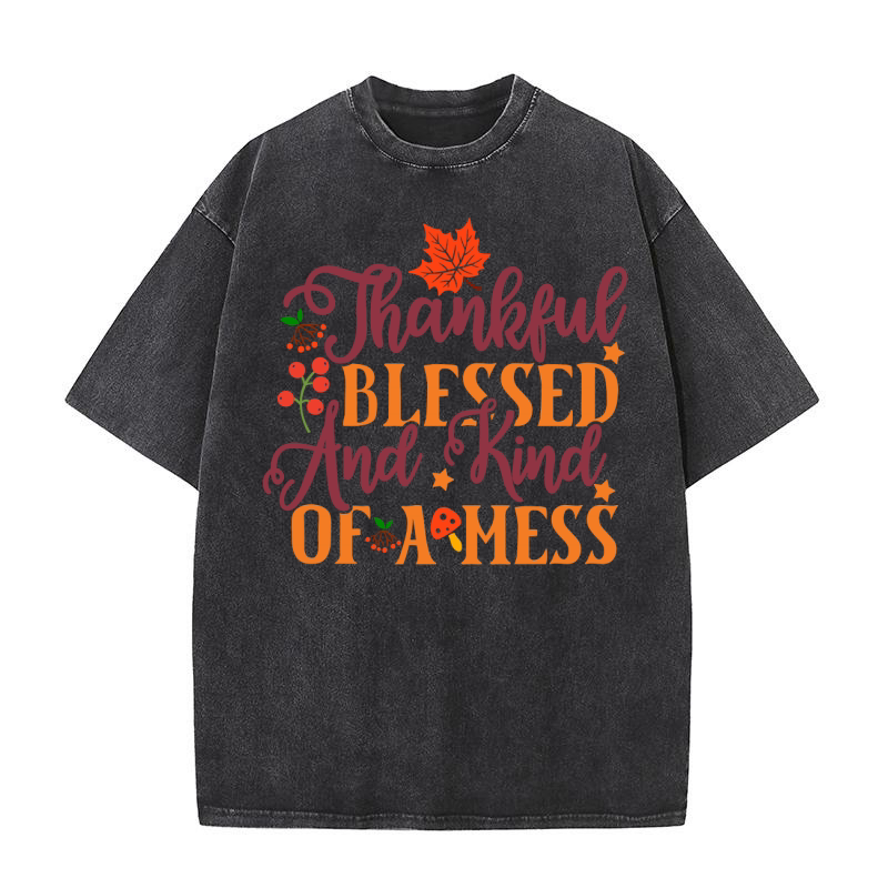 Thankful Blessed And Kind Of A Mess Washed T-Shirt
