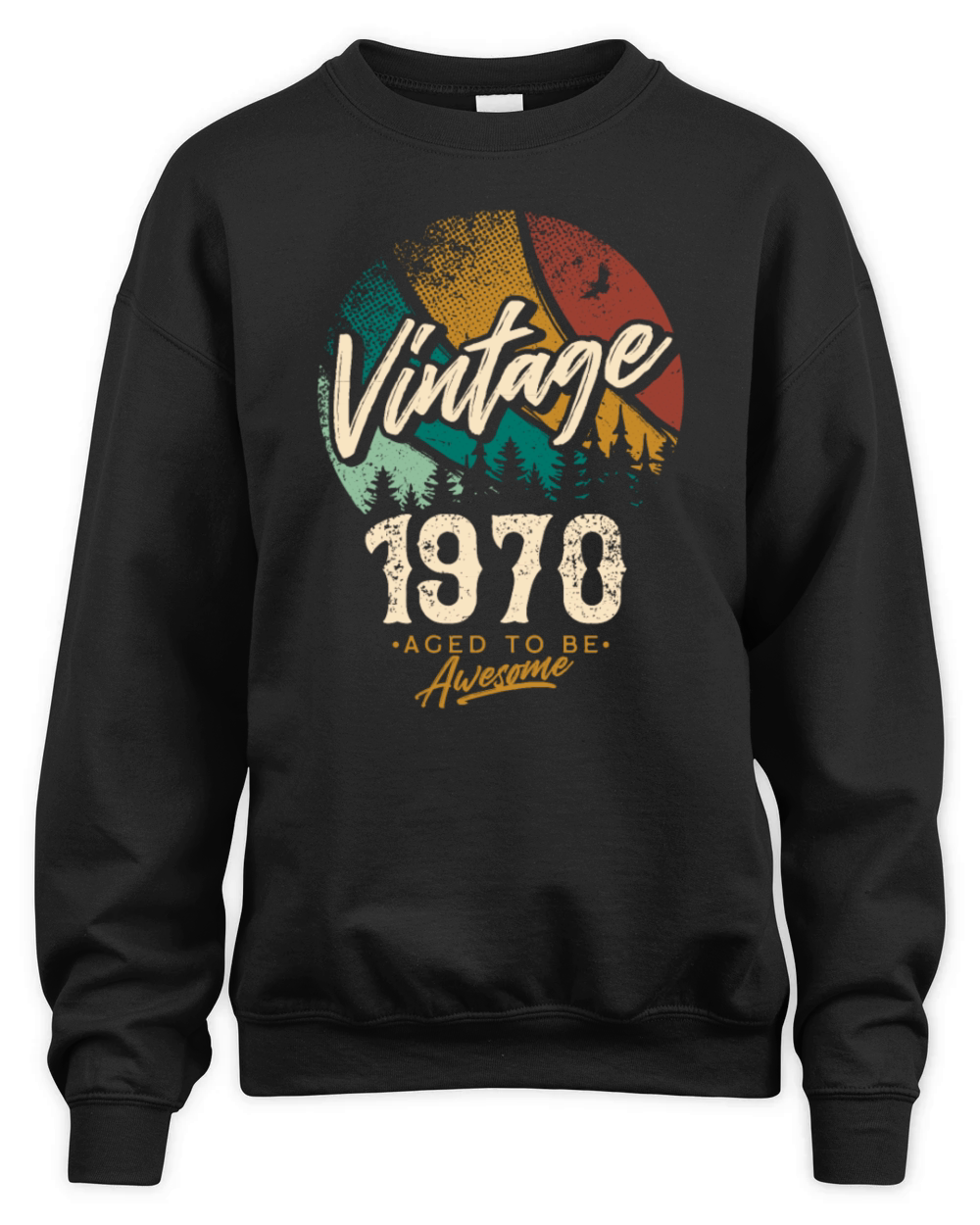 Vintage 1970 birthday gifts for men women bday Unisex Premium Crewneck Sweatshirt