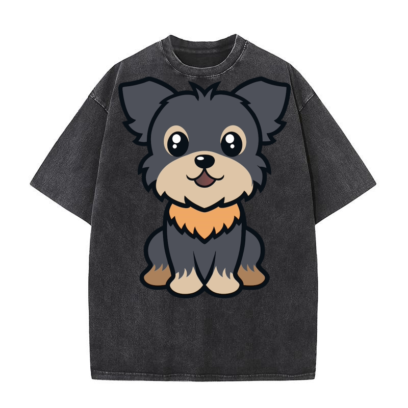 Affenpinscher Washed T-Shirt