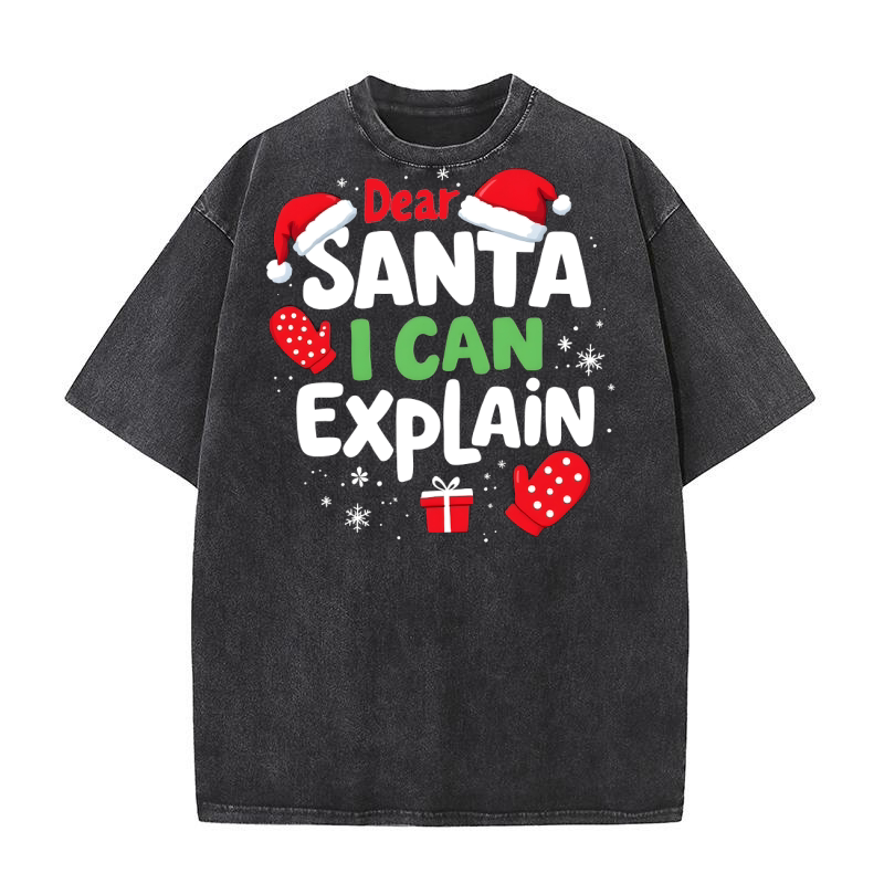 Dear santa i can explain Washed T-Shirt
