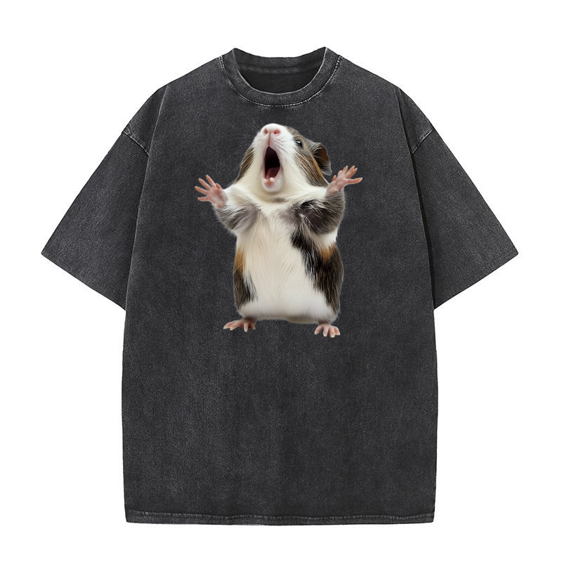 Guinea Pig (4) Washed T-Shirt
