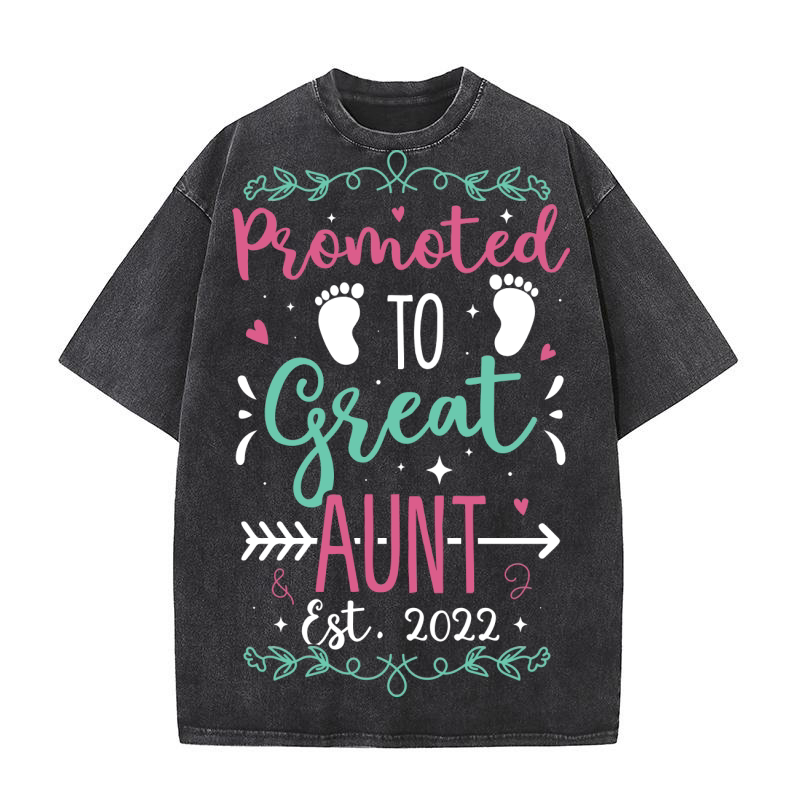 Promoted to great aunt Est 2022 Washed T-Shirt