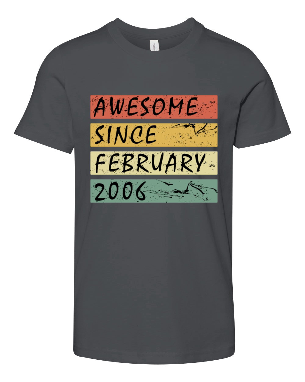 2006 vintage birthday February saying Youth Unisex Jersey Tee