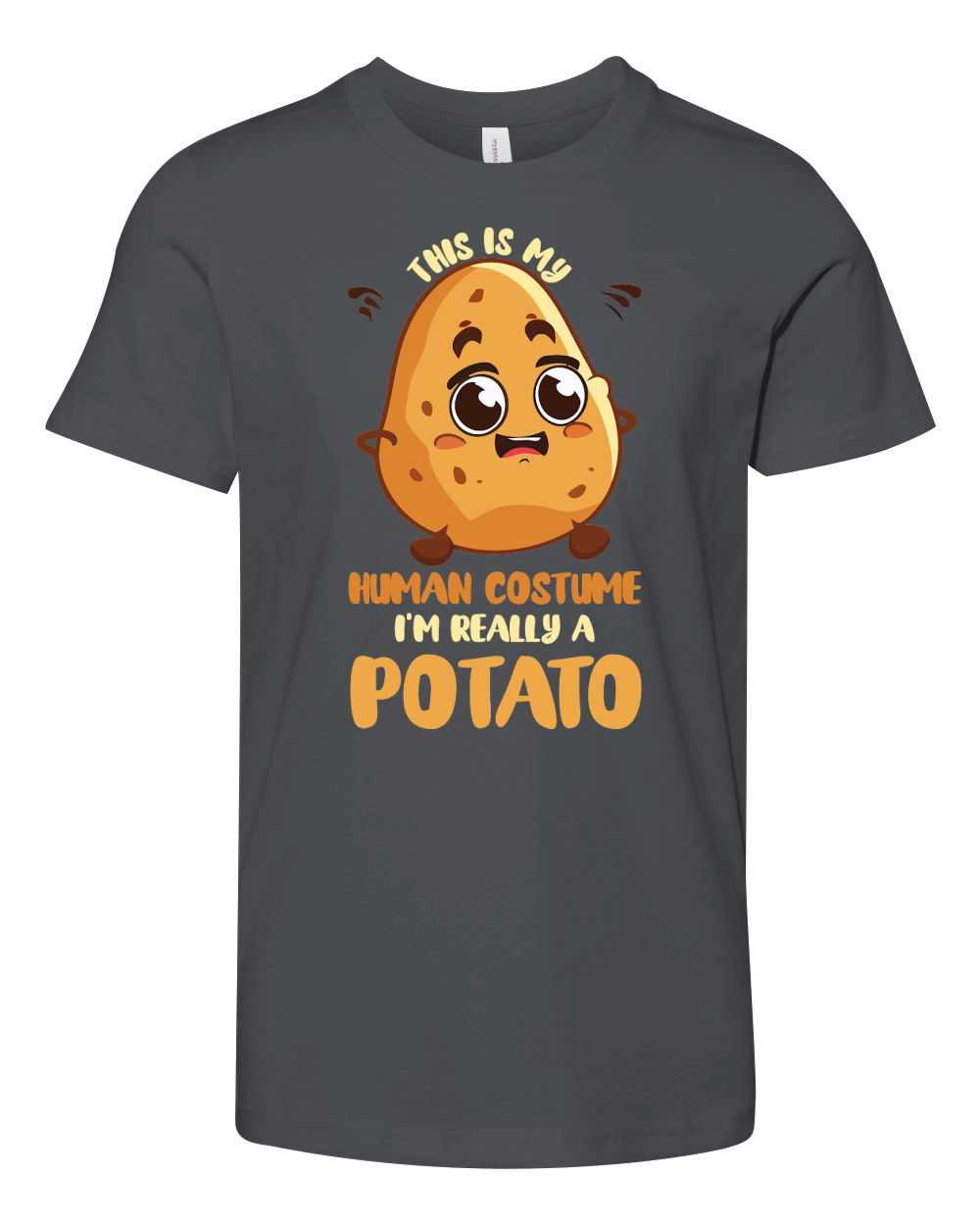 This Is My Human Costume Im Really A Potato Youth Unisex Jersey Tee
