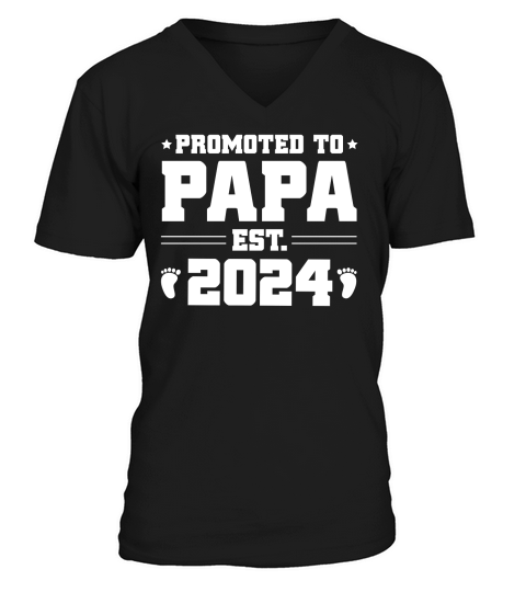 Promoted to Papa Est 2024 V-Neck T-shirt