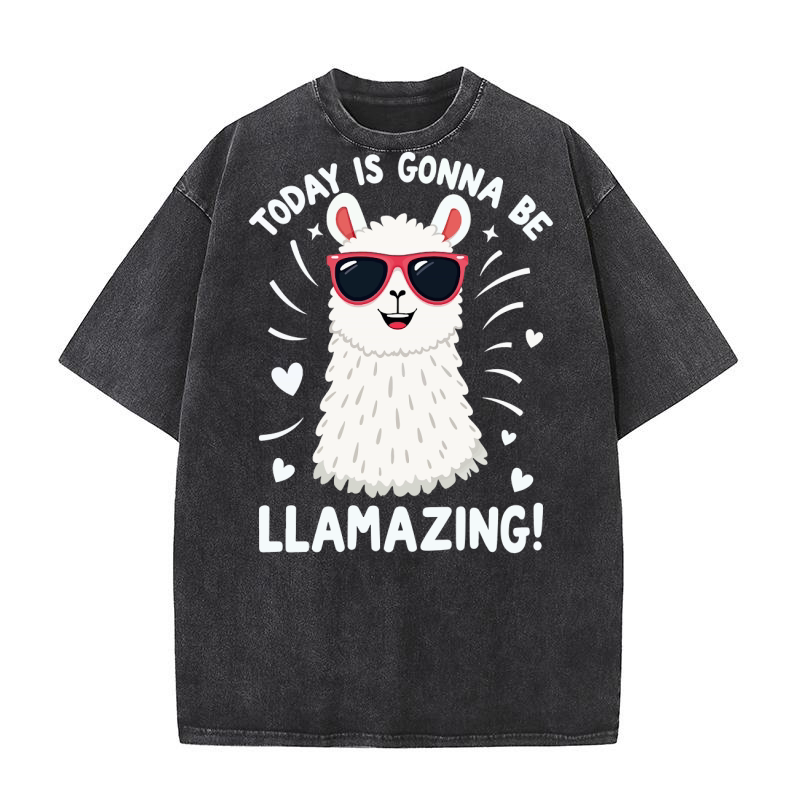 Today is gonna be llamazing Washed T-Shirt