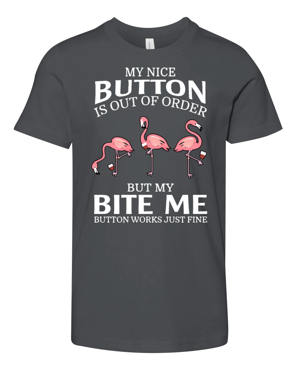 my nice button is out of order but my bite me butt Youth Unisex Jersey Tee