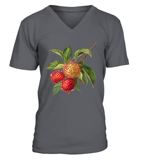 Rambutans Sweet and Exotic Vintage V-Neck T-shirt
