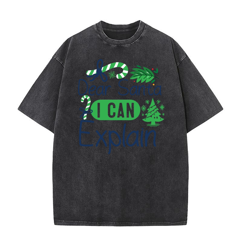 Dear Santa I Can Explain 7 Washed T-Shirt