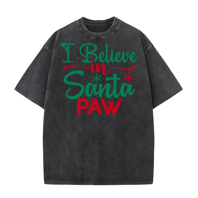 I believe in santa paw Washed T-Shirt