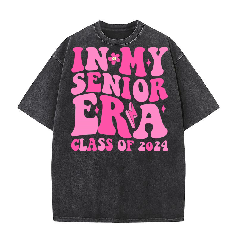 in my era 15 51 Washed T-Shirt