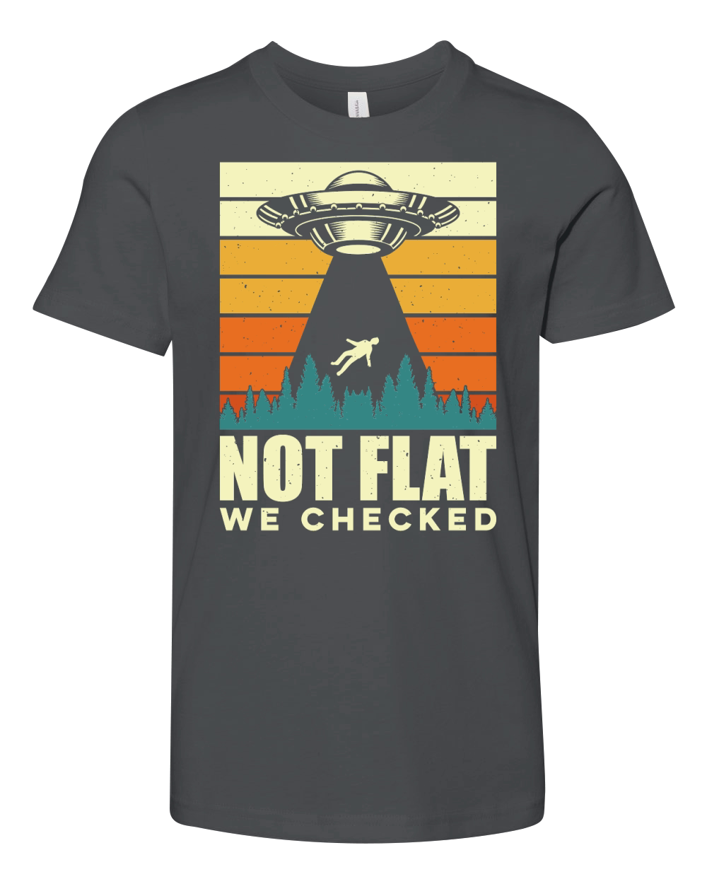 Vintage UFO Alien not Flat we checked Youth Unisex Jersey Tee