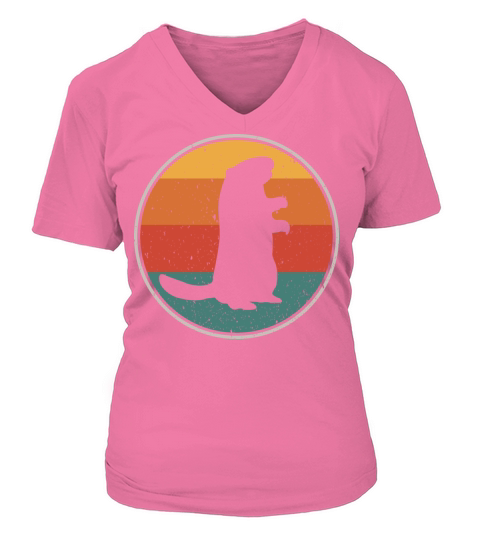 Happy Groundhog birthday decoration 2 February 2nd V-neck T-Shirt Woman