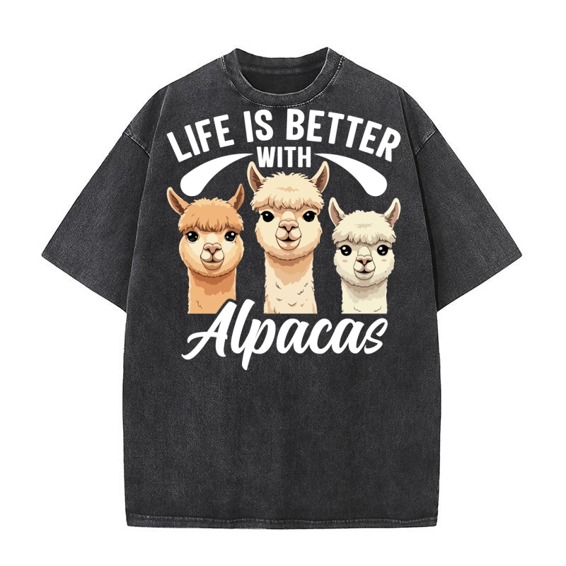 LLama 4 04 Washed T-Shirt