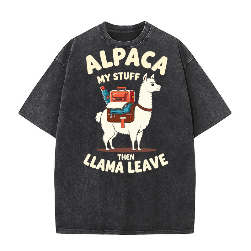 LLama 4 13 Washed T-Shirt