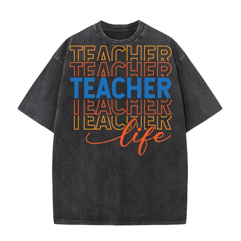Teacher Life 1.01 Washed T-Shirt