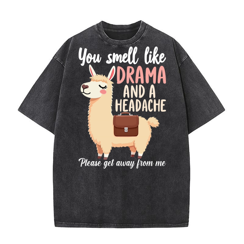 You smell like drama and a headache Washed T-Shirt