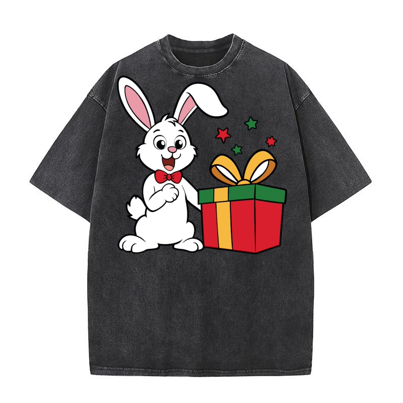 Christmas Rabbit 05 Washed T-Shirt
