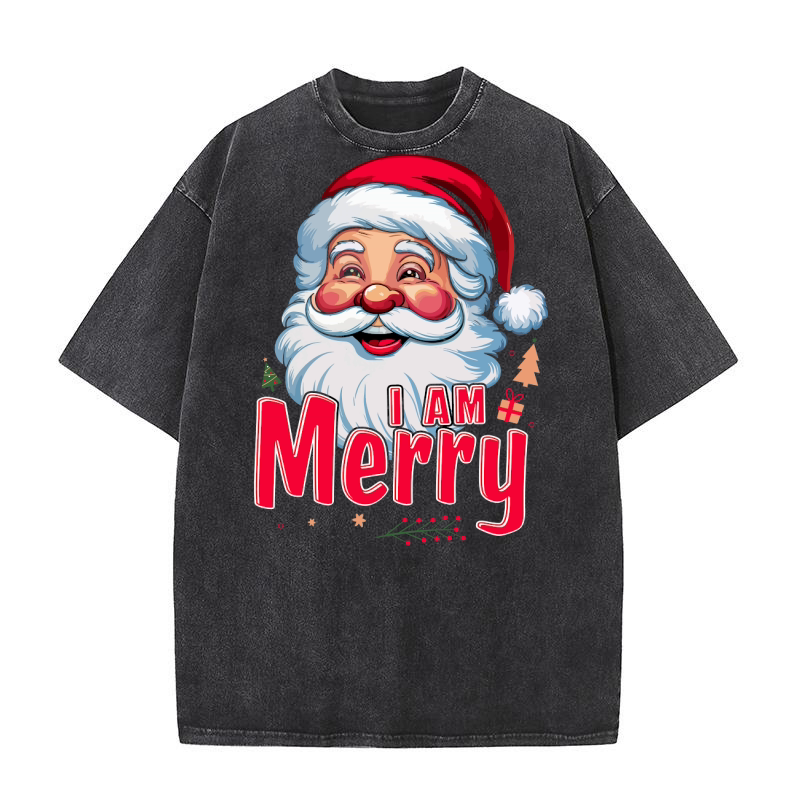 I am Merry 02 Washed T-Shirt