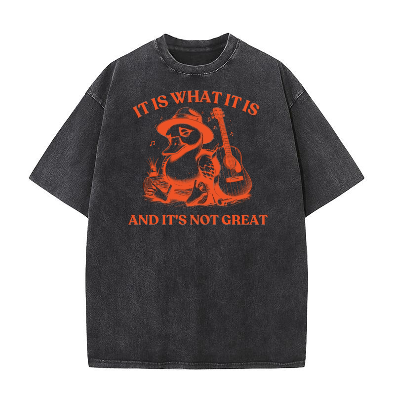 It is What It is And Its Not great 14 Washed T-Shirt