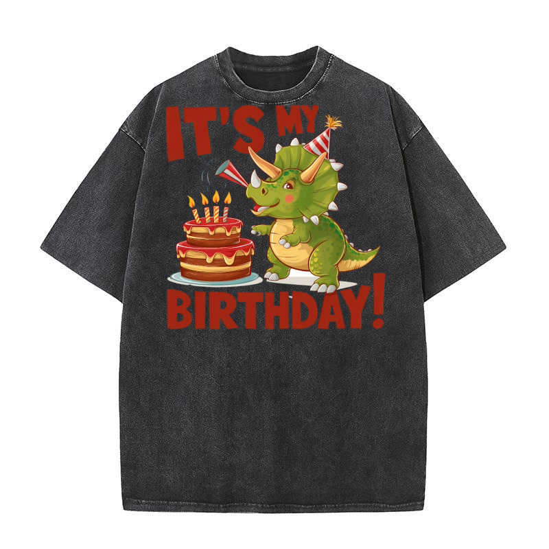 Its My Birthday Dinosaur Washed T-Shirt