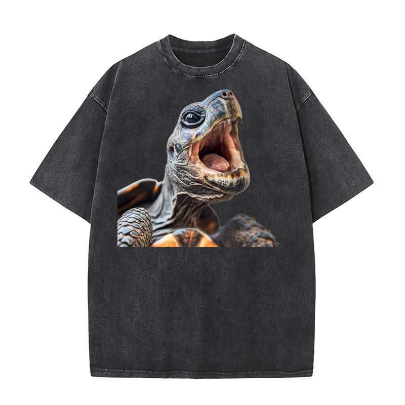 Three Tortoise 02 Washed T-Shirt