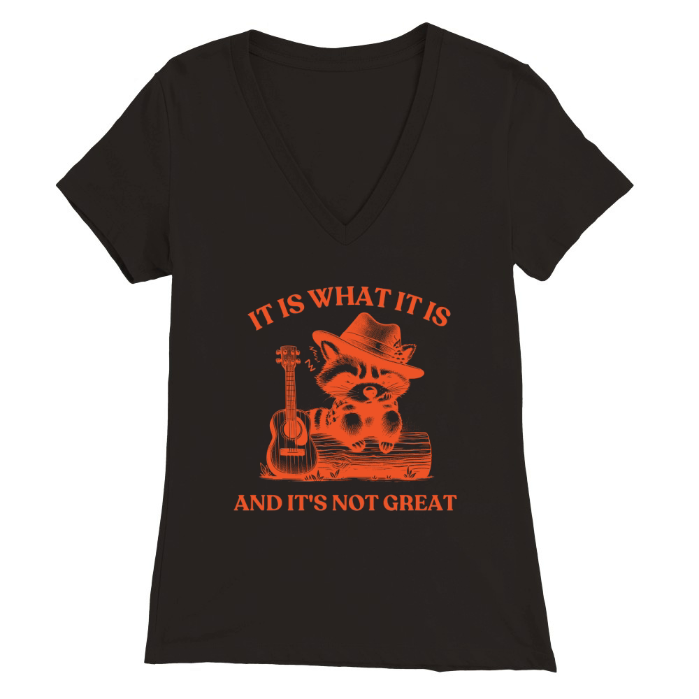 It is What It is And Its Not creat 10 Premium Womens V-Neck T-shirt