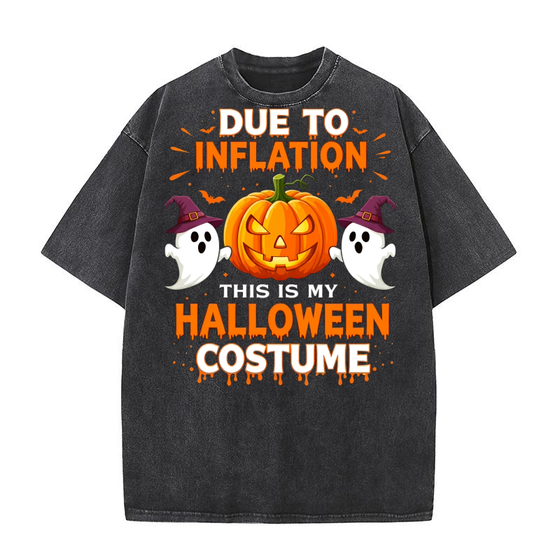 Due To Inflation This Is My Halloween Costume 02 Washed T-Shirt