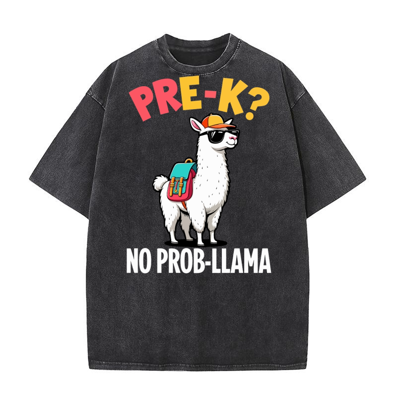 Pre K no prob llama Washed T-Shirt