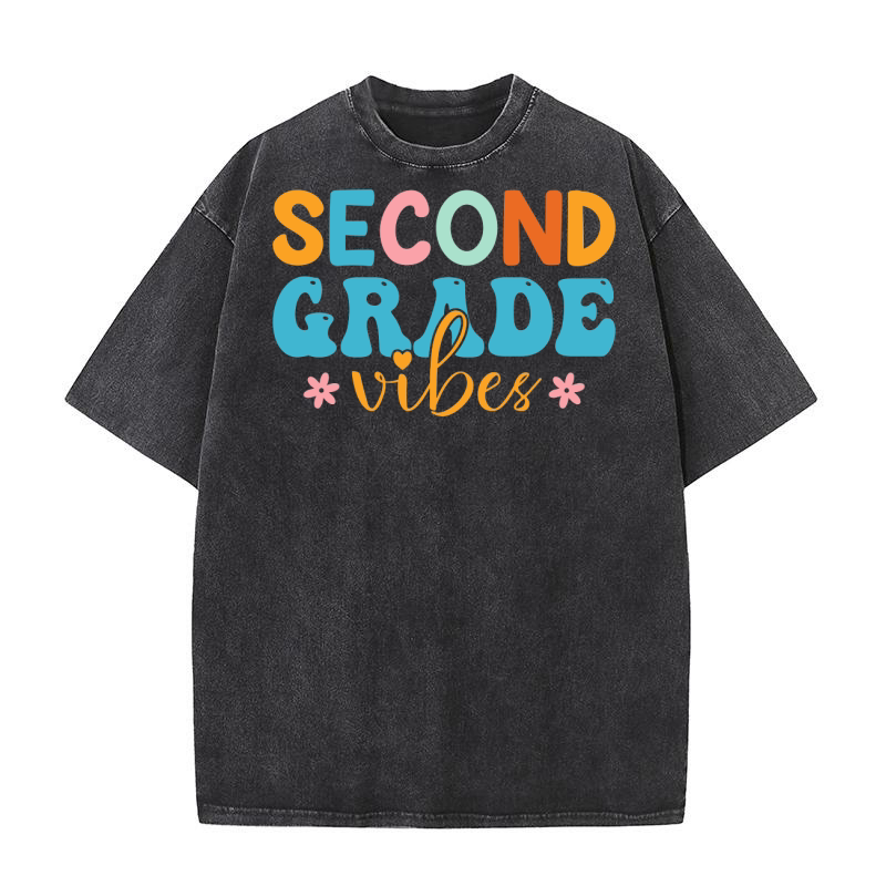 Second Grade Vibes Washed T-Shirt