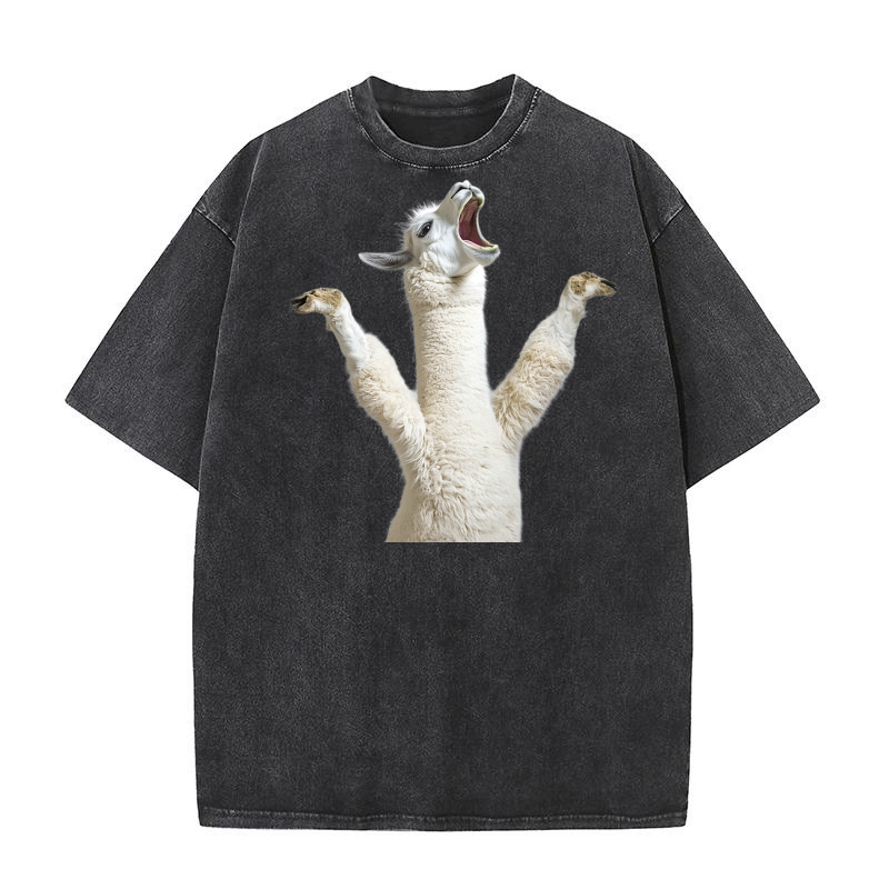 Three Alpaca Moon Weird Cursed 03 Washed T-Shirt
