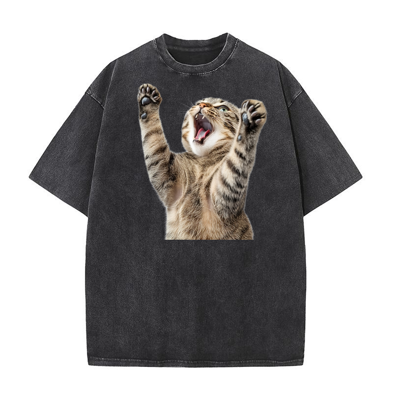Three Tabby Cat 02 Washed T-Shirt