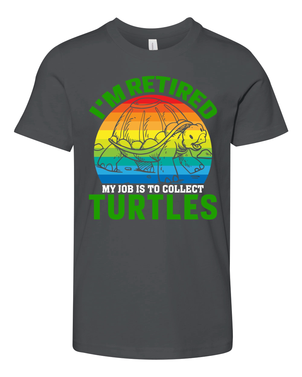 Im retired my job is to collect turtles Youth Unisex Jersey Tee