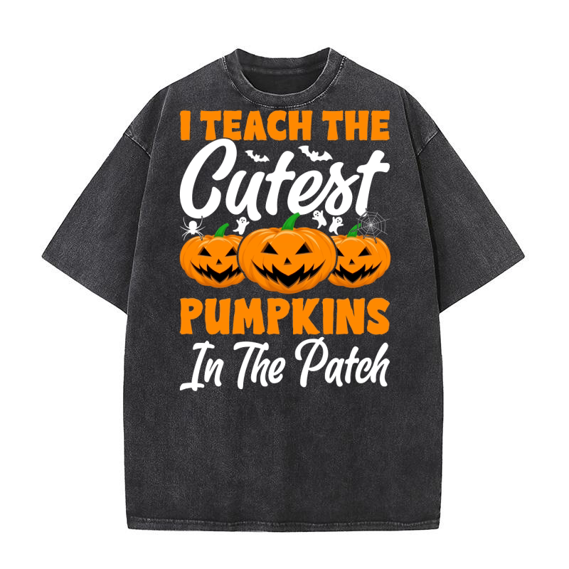 I teach the cutest pumpkins in the patch Washed T-Shirt