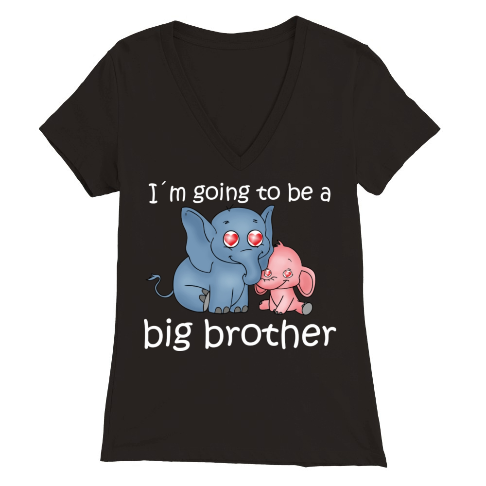 Big Brother Premium Womens V-Neck T-shirt